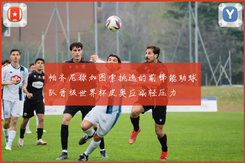 帕齐尼称加图索挑选的前锋能助球队晋级世界杯皮奥应减轻压力