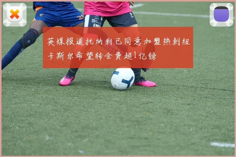 英媒报道托纳利已同意加盟热刺纽卡斯尔希望转会费超1亿镑